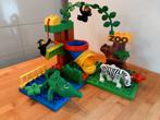 Duplo fun dierentuin en extra dieren 🦋, Kinderen en Baby's, Speelgoed | Duplo en Lego, Ophalen of Verzenden, Zo goed als nieuw