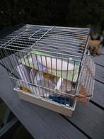 Zangkooitje, Dieren en Toebehoren, Vogels | Hokken en Kooien, Ophalen, Nieuw, Hout, Vogelkooi