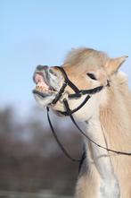 Rambo hoofdstel, Dieren en Toebehoren, Paarden en Pony's | Hoofdstellen en Tuigage, Ophalen of Verzenden, Gebruikt, Dressuur