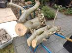 Walnoten hout stammen, Tuin en Terras, Haardhout, Minder dan 3 m³, Ophalen of Verzenden