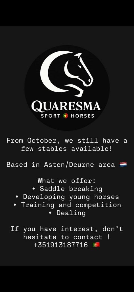 Zadelmak maken en opleiden van paarden, Dieren en Toebehoren, Paarden en Pony's | Verzorgingsproducten, Zo goed als nieuw, Ophalen of Verzenden