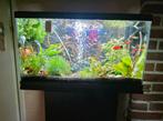 60 liter juwel aquarium, incl. meubel, Dieren en Toebehoren, Ophalen, Zo goed als nieuw, Leeg aquarium
