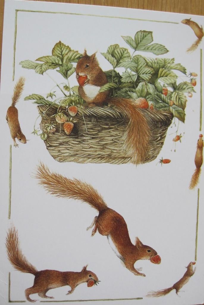 voor het kind - Marjolein Bastin - natuur - eekhoorns - 1991, Verzenden, 1980 tot heden, Ongelopen, Overige thema's