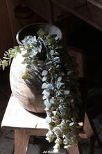 Eucalyptus hanger, Www.jufbrocante.nl, Www.jufbrocante.nl, Nieuw, Ophalen of Verzenden