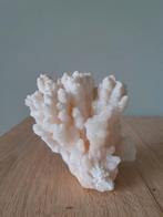 Bloemkool calciet meneralen, Ophalen of Verzenden