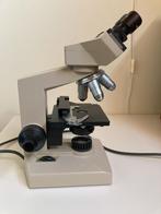 Microscoop, Audio, Tv en Foto, Optische apparatuur | Microscopen, Ophalen, Gebruikt, Minder dan 400x, Biologische microscoop