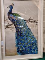 diamant painting pauw in witte lijst groot, Ophalen of Verzenden, 'T Olde Gre-j, Info@toldegrej.nl, Endepoelstraat 20f Didam