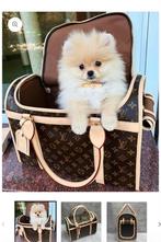 Lv honden reis tas, Ophalen of Verzenden, Nieuw