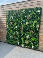 TE HUUR: backdrop / achtergrond / decoratie Jungle, Ophalen of Verzenden, Nieuw