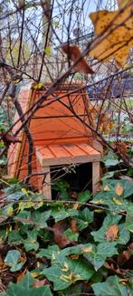 Egelhuisje met scheidingswand, Tuin en Terras, Ophalen, Nieuw