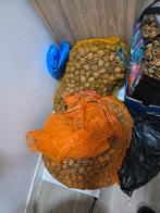 TE KOOP VERSE WALNOTEN, Diversen, Ophalen