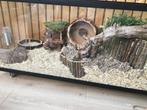 Glazen hamsterkooi zonder schuifruiten en plateau, Minder dan 60 cm, Ophalen of Verzenden, Minder dan 75 cm, Nieuw