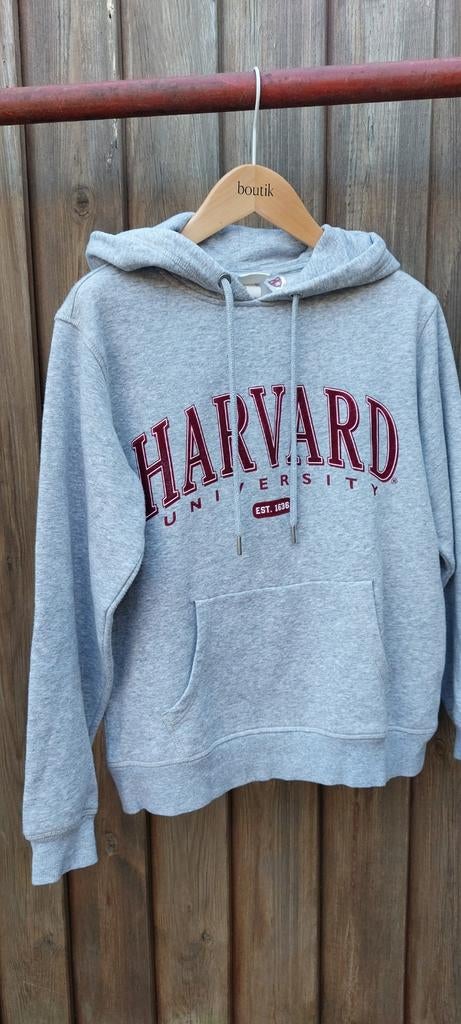 Grijze hoodie sweater H&M. Maat XS.
Opdruk Harvard in rood., Ophalen of Verzenden, Zo goed als nieuw, Maat 34 (XS) of kleiner