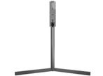 Loewe Floorstand FSM 7.65 elektrisch, Ophalen of Verzenden, Zo goed als nieuw