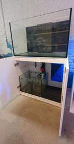 Aquarent/ zeeaquarium/ Red Sea 250, Dieren en Toebehoren, Vissen | Aquaria en Toebehoren, Ophalen of Verzenden, Gebruikt, Leeg aquarium