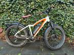 Rad powerbikes Rhino, Gebruikt, 30 tot 50 km per accu, Ophalen, Overige merken