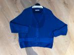 Studio Anneloes vest, Ophalen of Verzenden, Gedragen, Maat 38/40 (M), Blauw