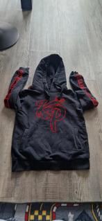 Knolpower Trui, Kinderen en Baby's, Kinderkleding | Maat 134, Gebruikt, Jongen of Meisje, Trui of Vest, Knolpower