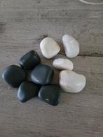 Biorb pebbles, zwart en wit, Dieren en Toebehoren, Ophalen of Verzenden, Zo goed als nieuw, Plant(en), Steen of Hout