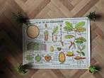 Schoolplaten natuur, Ophalen, Natuur en Biologie