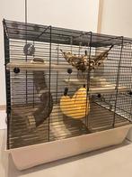 Kooi voor dwerghamster of ander knaagdiertje, Dieren en Toebehoren, Minder dan 75 cm, Zo goed als nieuw, Hok, Hamster