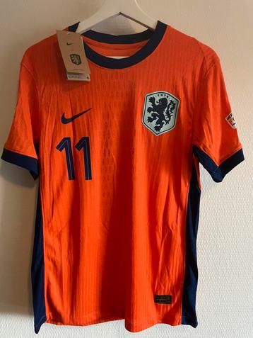 Nike Nederlands elftal shirt Cody Gakpo Maat M beschikbaar voor biedingen