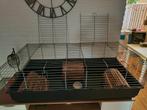 Knaagdieren hok of kooi, 110 cm of meer, Zo goed als nieuw, Hamster, Hok