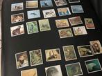 Stickers panini wwf en animals, Verzamelen, Stickers, Ophalen of Verzenden, Zo goed als nieuw, Overige typen