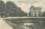 (701-248-037) Dodewaard Buitenlust, Verzamelen, Ansichtkaarten | Nederland, Verzenden, Gelderland