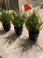 3 kunstplantjes in pot hoogte 20 cm, Ophalen