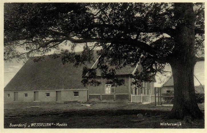 Boerderij Wesselink - Meddo - Winterswijk - ongelopen, Verzamelen, Ansichtkaarten | Nederland, Ongelopen, Gelderland, Voor 1920