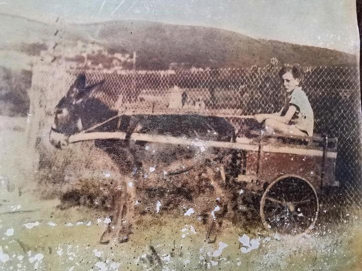 Oude foto op karton Victor Hugo zie achterop 40-30 Miekje's, Verzamelen, Foto's en Prenten, Gebruikt, Voor 1940, Ophalen of Verzenden