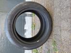 Band 255 x 50 x R19, Ophalen, Nieuw, Overige automerken