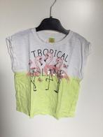 Leuk shirtje met flamingo’s zgan maat 104-110, Meisje, Ophalen of Verzenden, Zo goed als nieuw, Shirt of Longsleeve