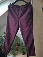 Daily Paper Broek Maat L Bordeaux Rood, Maat 52/54 (L), Ophalen of Verzenden, Zo goed als nieuw, Daily Paper