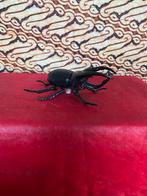 VINTAGE (80er jaren) TOMY PLASTIC OPWIND NEUSHOORNKEVER., Ophalen of Verzenden, Zo goed als nieuw