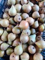 Stoofperen Gieser Wildeman € 1,00 per kg onbespoten, Ophalen