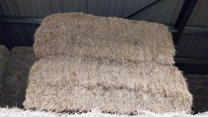 2 balen Deens graszaadhooi, Dieren en Toebehoren, Dierenvoeding, Ophalen of Verzenden