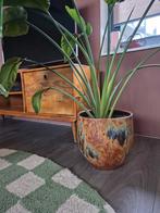 Grote plantenpot, Tuin en Terras, Bloempotten, Ophalen, Rond, Zo goed als nieuw, Aardewerk