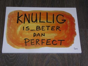 Knullig is veel beter dan PERFECT - Eus Roovers beschikbaar voor biedingen