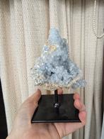 Celestien op standaard, Verzamelen, Mineralen en Fossielen, Ophalen of Verzenden