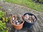 Vijver gravel/grind en/of rivierkeien voor vijver, Minder dan 3 m³, Ophalen of Verzenden, Overige houtsoorten, Blokken