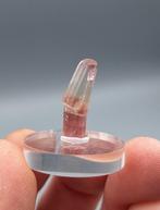 Toermalijn - Tourmaline Queen Mine, Pala, Californië, USA, Ophalen of Verzenden, Mineraal