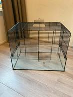 Dierenkooi, Dieren en Toebehoren, Kooi, Gebruikt, Minder dan 75 cm, Ophalen