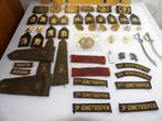 Koninklijke Landmacht Genie verzameling 73 stuks, Verzenden, Nvt, Nederland, Embleem of Badge