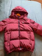 Tommy Hilfiger Puffer Winterjas XL Bordeaux Rood, Ophalen of Verzenden, Zo goed als nieuw