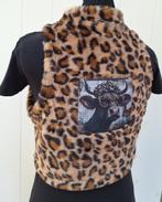 Ossekop, bolero bodywarmer panterprint luipaard print kunst, Ophalen of Verzenden, Nieuw, Maat 42/44 (L), Overige kleuren