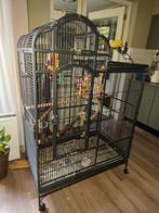 Grote papagaaien kooi, Ophalen, Zo goed als nieuw, Metaal, Vogelkooi