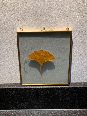 Gouden droogbloem of foto lijstje beschikbaar voor biedingen