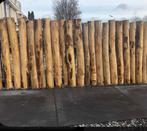 Kastanje palen afrastering schutting erfscheiding terrastuin, Ophalen of Verzenden, Nieuw, Palen